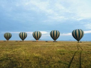 IMG-20180810-WA0002