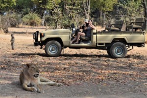 Safari 1