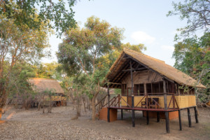 Zikomo Safaris