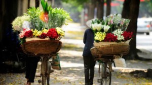 Flowers seller