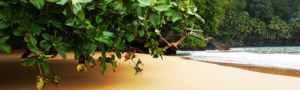 Praia Cafe - Sao Tome and Principe