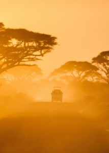 amboseli