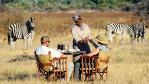 budget-safari