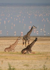 nakuru