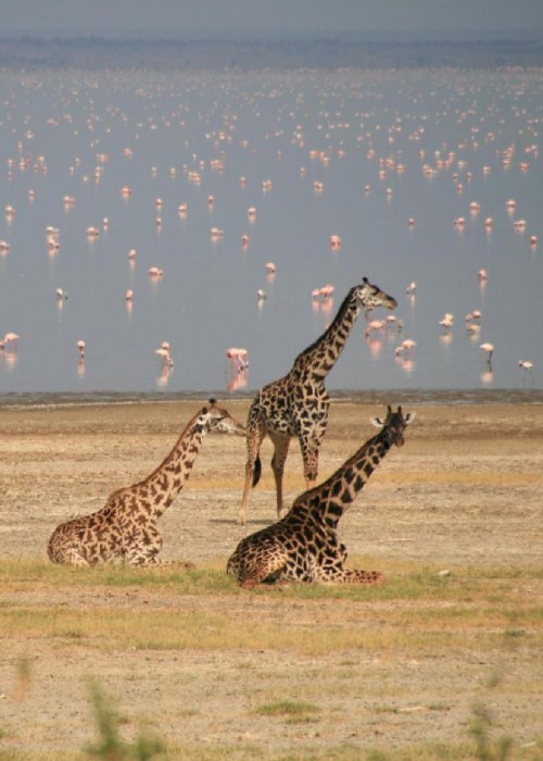 nakuru