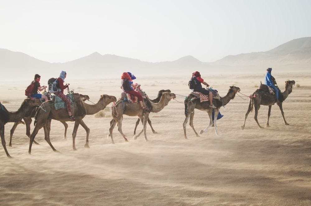 Why you Should Use a Travel Agent for Your Bookings