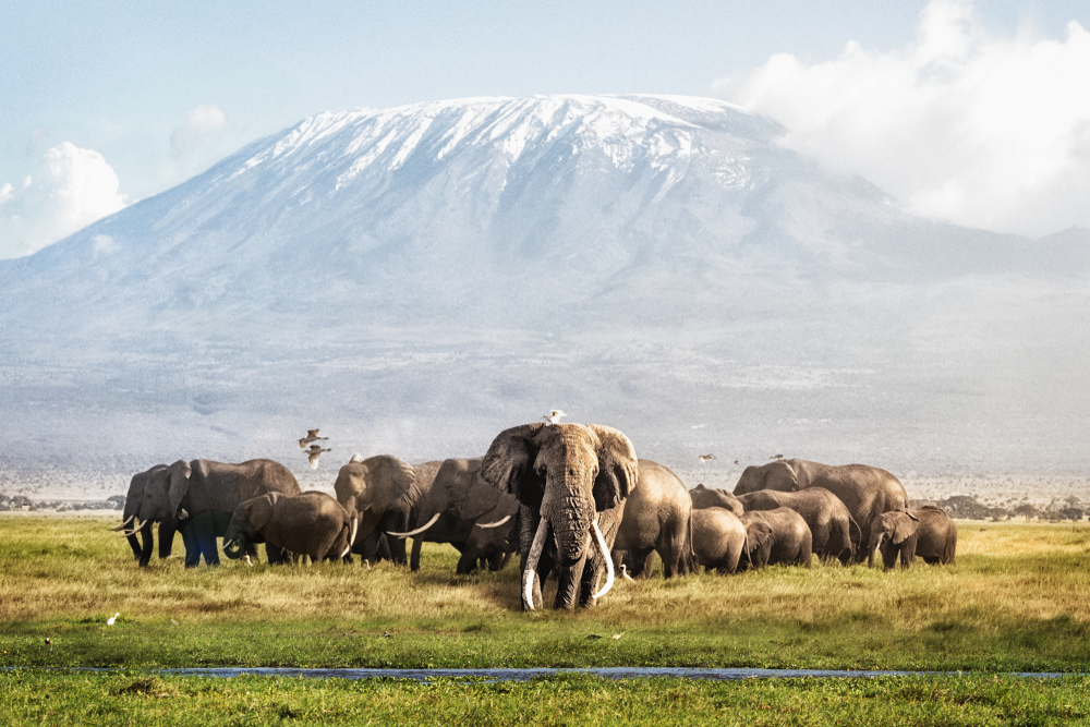 Is it Worth it to Climb Kilimanjaro?