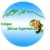 Profile picture of UNIQUE AFRICAN EXPERIENCE