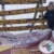 Profile picture of Widerange African Safaris Co Ltd
