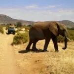 Profile picture of World Amazing People Adventure