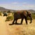 Profile picture of World Amazing People Adventure