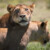 Profile picture of LetswanderTanzania