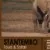 Group logo of Stantembo tours&safaris